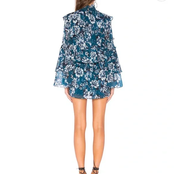 Elliana dress in Everglade Gardens - Picture 3 of 3